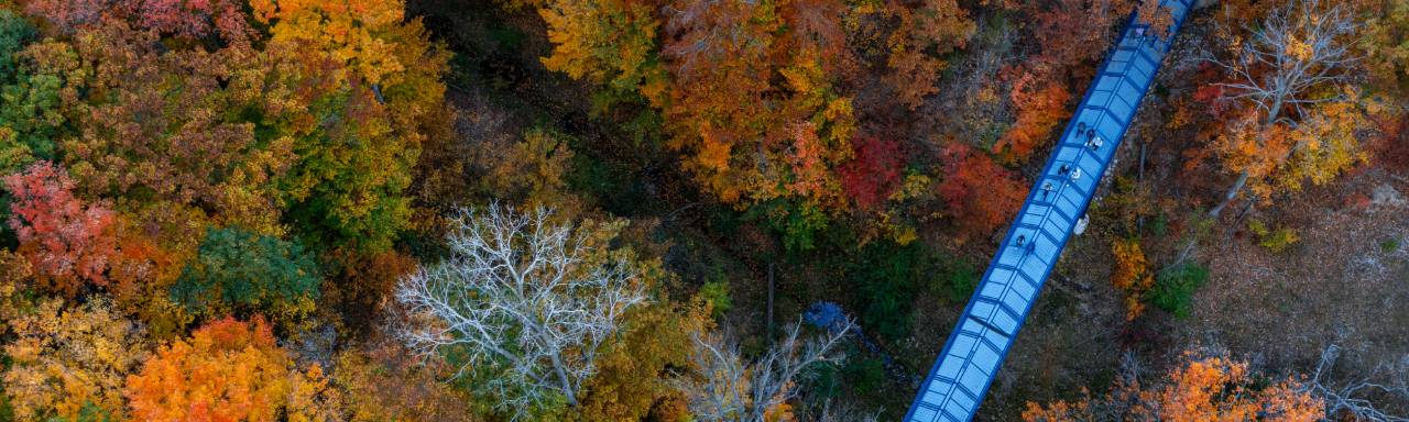 Drone photo of campus fall colors and blue bridge